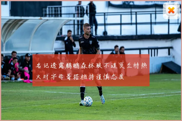 名记透露鹈鹕森林狼不追莫兰特热火对字母哥搭档持谨慎态度