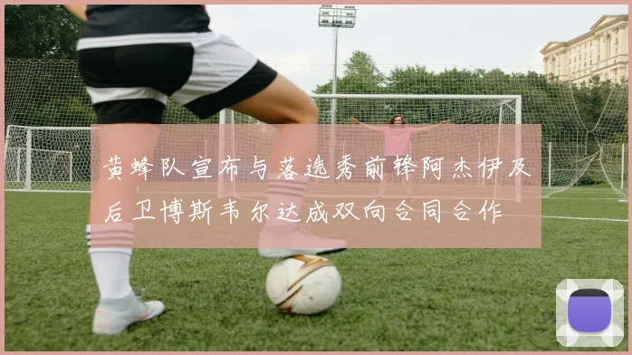 黄蜂队宣布与落选秀前锋阿杰伊及后卫博斯韦尔达成双向合同合作